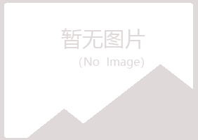 鹤岗兴山海瑶培训有限公司